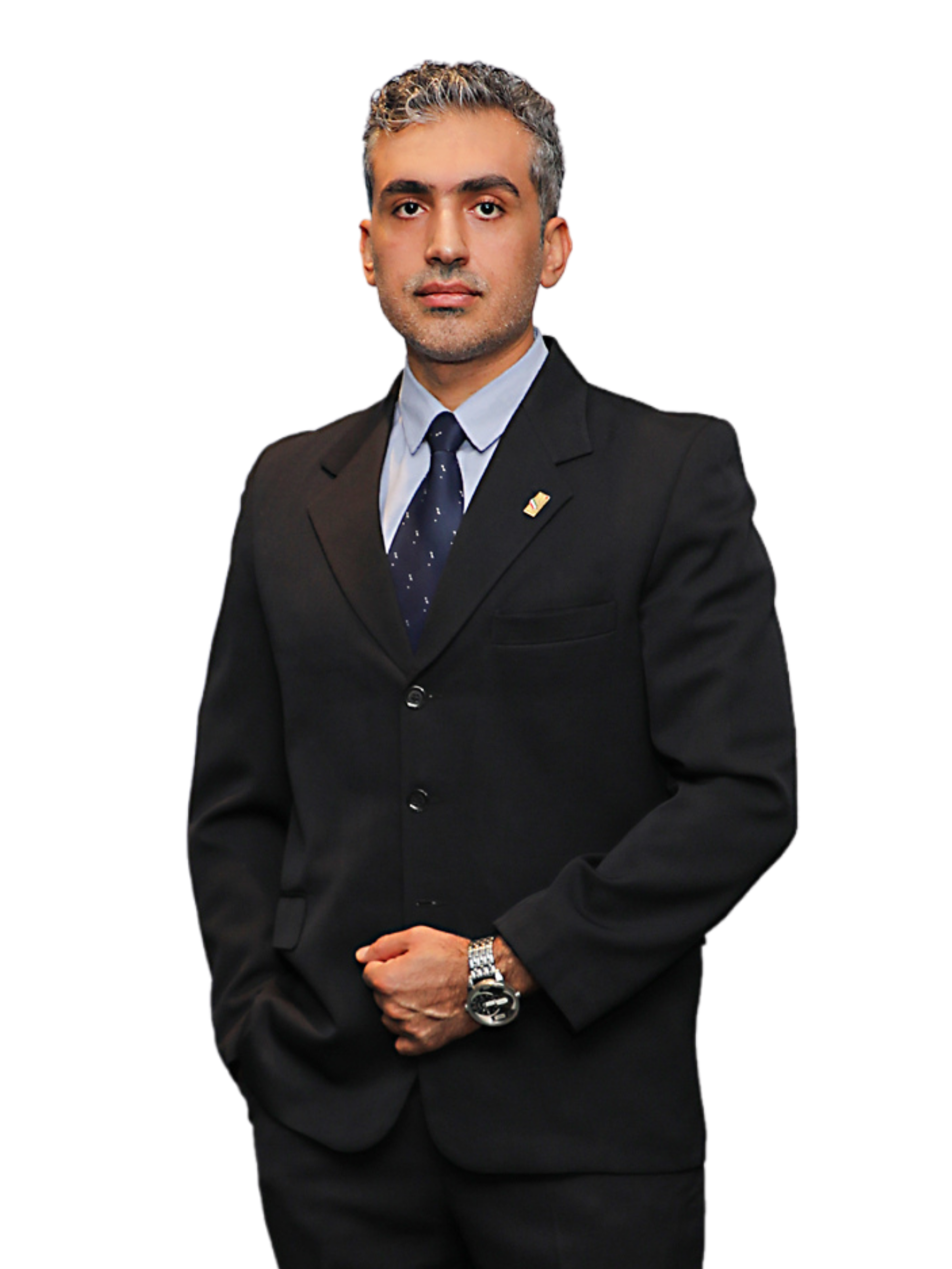 حامد حسنی